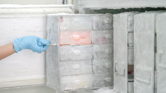5 Benefits of a Pharmaceutical-Grade Refrigerator