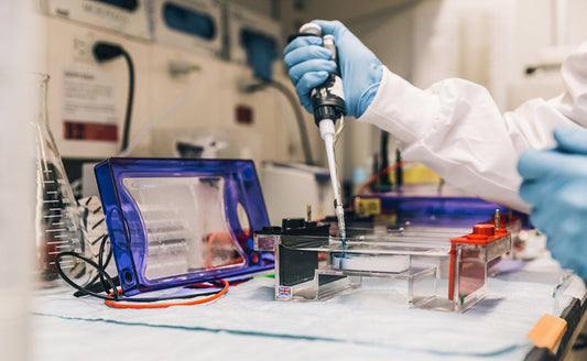 What Is Chromatography?