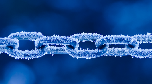 a chainlink with ice and frost