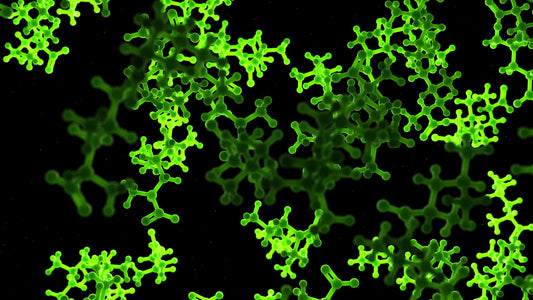 Enzymes Storage Best Practices to Prevent Premature Degradation