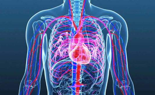 Cardiac Complications After SARS-CoV-2 Infection and mRNA COVID-19 Vaccination