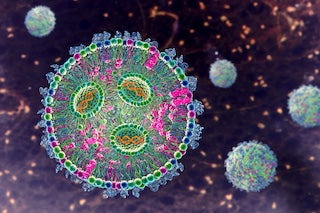 A Guide for the Cold Storage and Stability of Lipid Nanoparticles